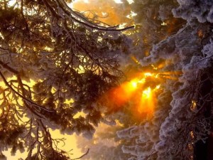 Fingers of light by anu sri (1)