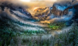 Yosemite by William Toti