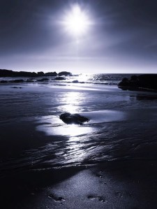 Beach  from Ano Nuevo