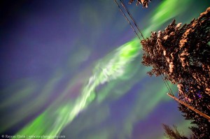 Coronal Storm by Rayann Elzein