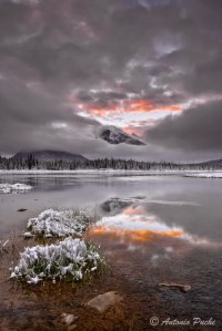 Dawn by Antonio Puche