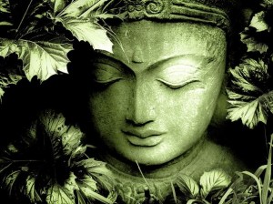 green_buddha by Anu Sri