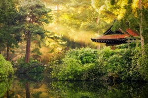 Tatton Park by Jonathan Wiseman