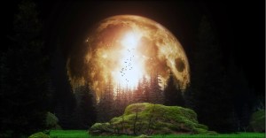 Wolf Moon from Uwe Schweitzer