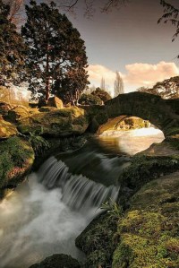 Beddington Park, London from Anu Sri