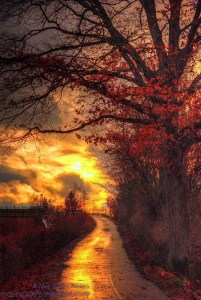 Country lane from Hans-Juergen Werner