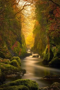 Fairy-Glen-Gorge by Dubie Bacino