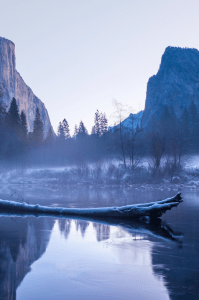 Morning from sue lim