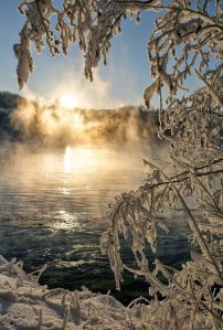 Morning from Tatiana Garmatiy