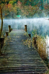 Morning from Yuri Prokhorov