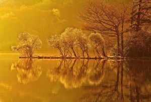 Morning light from Yahiya Mv