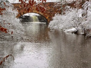 Petit Jean State Park by Anu Sri