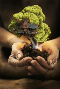 bonsai tree mansion by iGabo