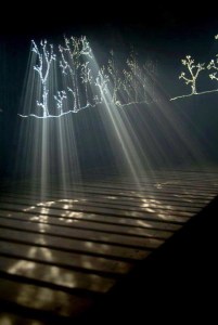 Day break from Huanita Trela