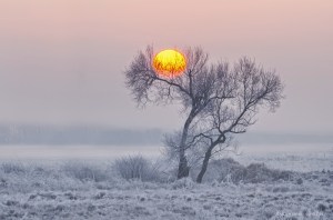 frozen from Artur Mashnich