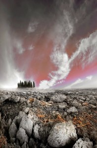 mists from David Hobcote