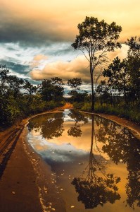 Puddle by Fernando Marinho