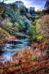 Stream from Vicki Field