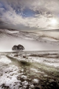 Yorkshire from David Hobcote