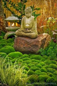 Buddha from Jill Paschal
