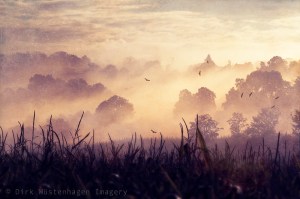 Layers of light from Dirk Wüstenhagen