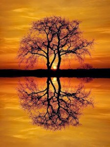 Sunrise by Martin Wait