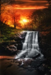 Suu tu by Mehmet G ney (1)