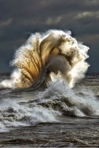 Wave crest from George Freeman (1)