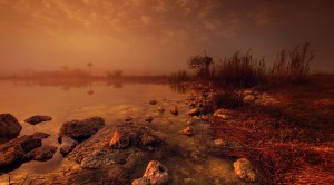 dawn-from Ray Bilcliff