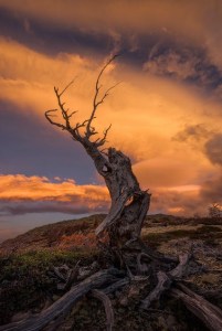 Libarating-from-Samasara