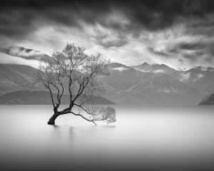 Survival from Paul Wheeler