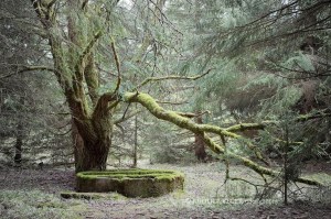 Well from Rudolf Vlček