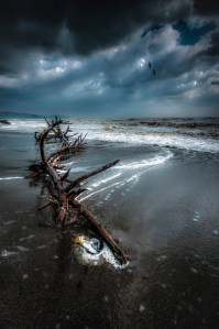 Adrift by Alessandro Butteri