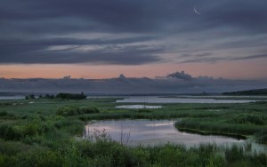 Dawn from Irina Shapronova