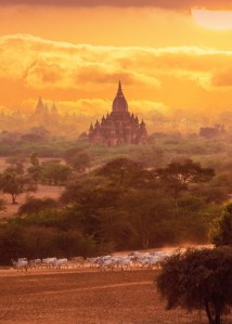 Haven by Myo Zin Htut