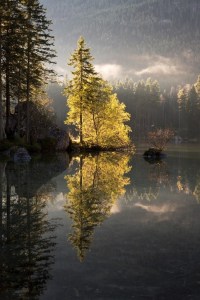 little canada by Jonas Funck