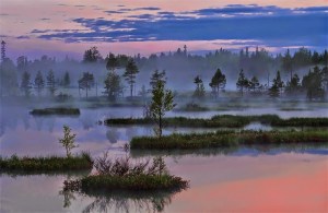 Morning from Andrey Mashnich