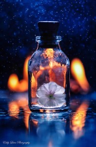 My life from Eddy Leiva