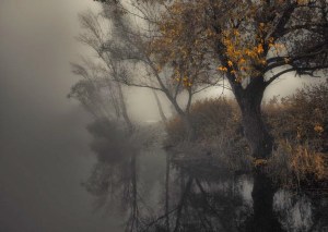 Riverside from revathy s