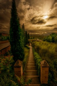 The eye of the path by Mr Friks Colors