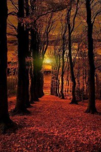 Bonito by lor de dalia xiu