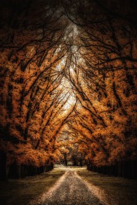 Enclosed by Dan Green