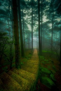 Pathways from sue lim