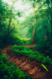 Walkway by Hanson Mao