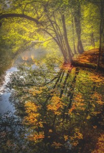 Lake by Orkun Taşkın