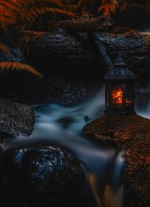 lamplight by Mikko Erholtz