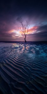 Last Man Standing by Paul De Odorico (1)