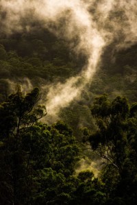 Rising Mist by Benedict Grey