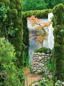 Secret garden from Elena Grigoras