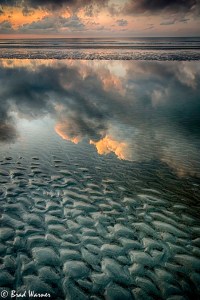 Transition by Brad Warner